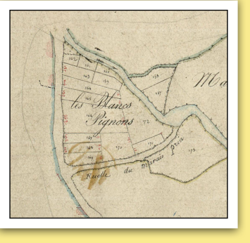 Blancpignon