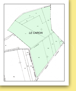 Lecaron c63