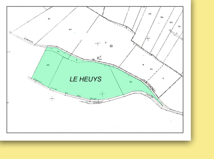 Lesheuys zb