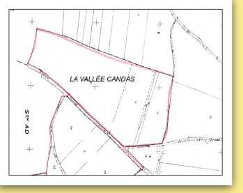 Valleecandas c63